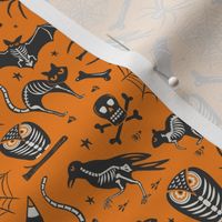 Halloween X-Ray - Orange & Black Small Scale