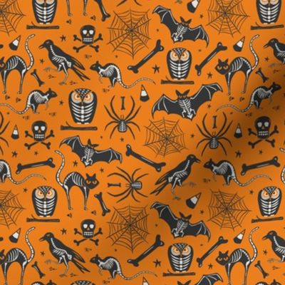 Halloween X-Ray - Orange & Black Small Scale