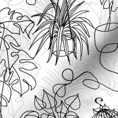 Houseplants (black and white)  