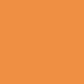 Retro Tangerine Solid / Halloween 