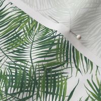Watercolor Tropical Ferns Smaller scale