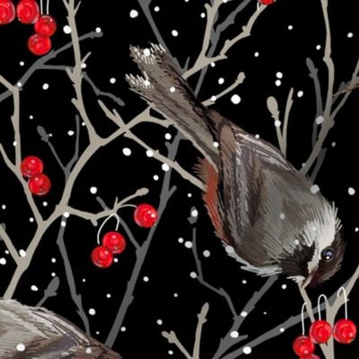 Winter Chickadees | Black Red   Gray