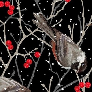 Winter Chickadees | Black Red   Gray