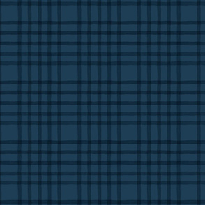 Hawthorne Blue Plaid