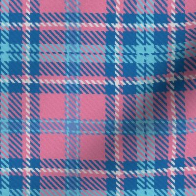 Bordered X Plaid in Blue and Pink