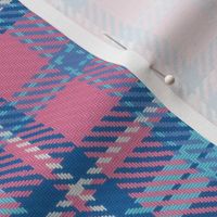 Bordered X Plaid in Blue and Pink