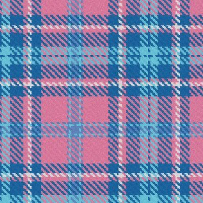 Bordered X Plaid in Blue and Pink