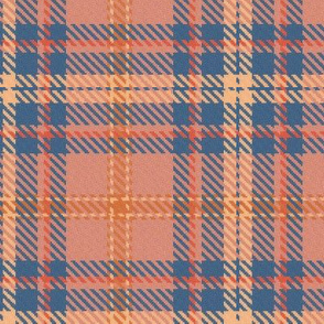 Bordered X Plaid in Peach and Colonial Blue