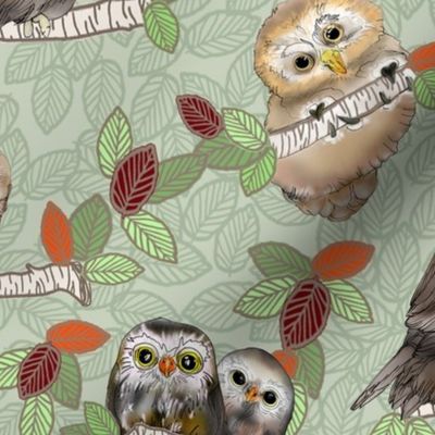 Owls and Owlets Green 