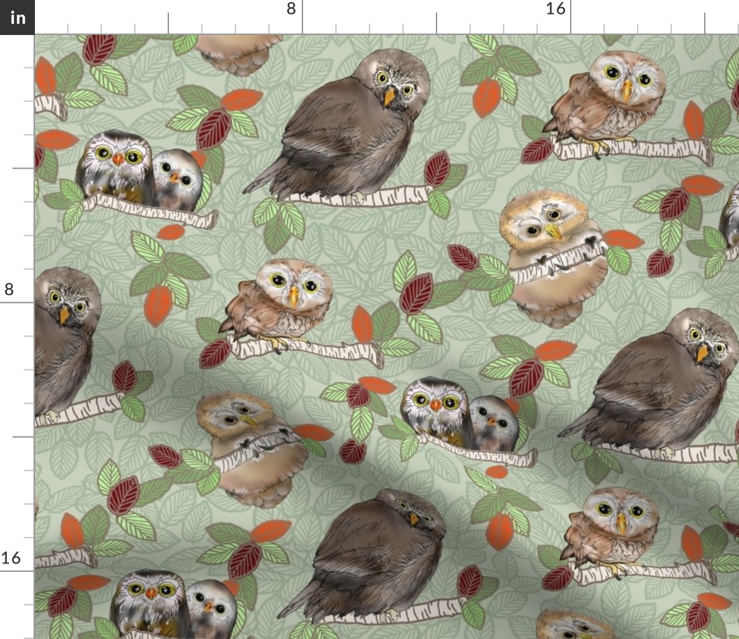 Owls and Owlets Green 