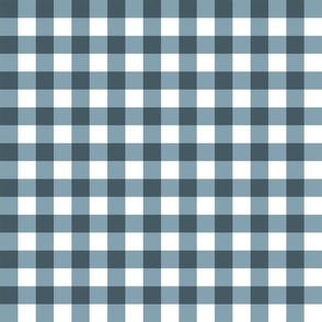 pony up: gingham in denim 1 inch