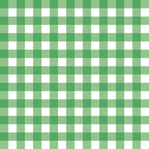 pony up: gingham in clover + alfalfa 1 inch