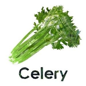 celery - 6" Panel