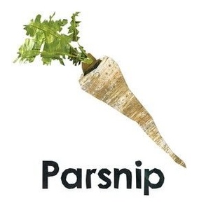 parsnip - 6" Panel