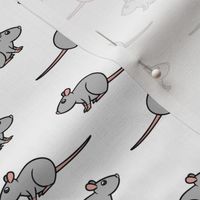 Rats - rat mouse rodent pet - white - LAD20