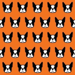 boston terrier fabric - bostons on orange