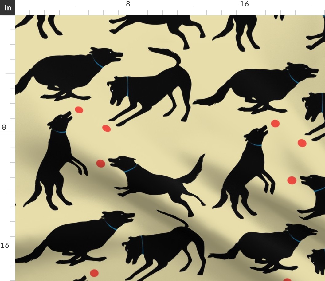 The playful black dog - cream background