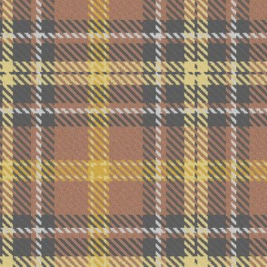 Bordered X Plaid in Brown and Gold