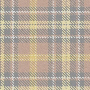 Bordered X Plaid in Soft Brown and Muted Gold