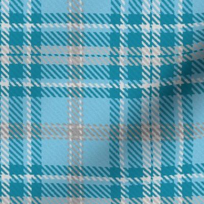 Bordered X Plaid in Sky Blue Turquoise and Gray