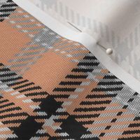 Bordered X Plaid in Peach Black White and Gray