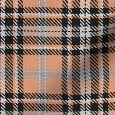 Bordered X Plaid in Peach Black White and Gray