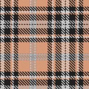 Bordered X Plaid in Peach Black White and Gray