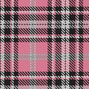 Bordered X Plaid in Blush Pink Black White and Gray