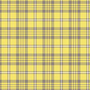 Pastel Yellow and Gray Plaid