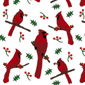 Cardinals in White