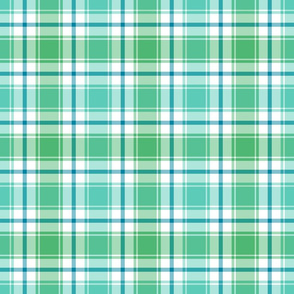 Blue, Green, Turquoise, and White Plaid