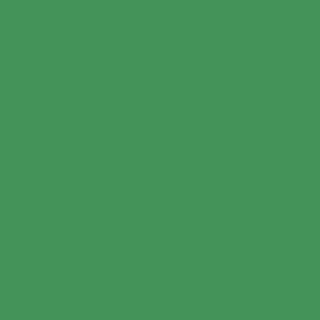 Leaf Green Block Color Coordinate