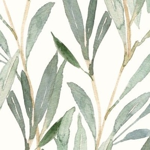 Leaves, botantical, watercolor, sage