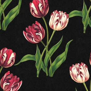 Vintage tulips -  botanical illustration pattern on dark