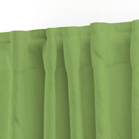  Coordinate Block Color - Apple Green