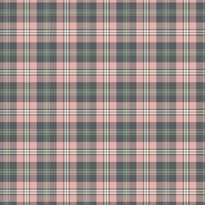 Pink, Green, and Gray Plaid - small