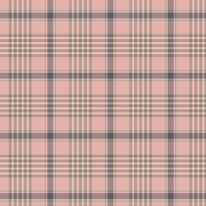 Pink and Gray Plaid Pattern