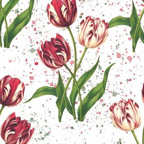 Vintage tulips -  botanical illustration pattern on white