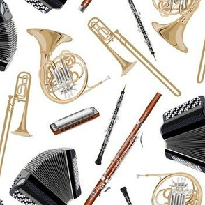 not your everyday instrument! trombone, bassoon, oboe, accordion, harmonica and horn on white