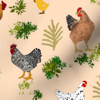 Chicken, chicks,hen ,rooster pattern 