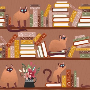 library cats on bookshelves