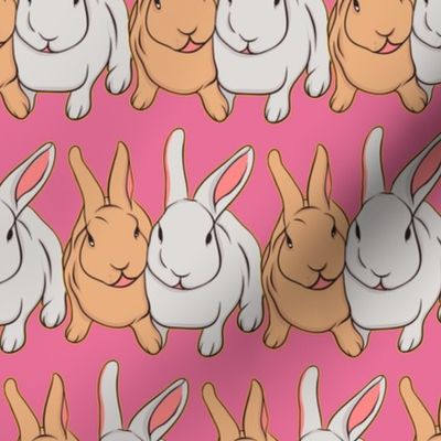 Bunny Rabbits on Pink