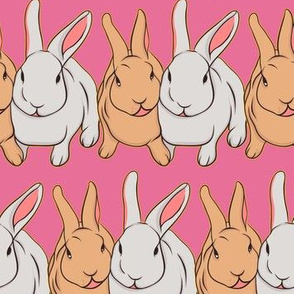 Bunny Rabbits on Pink