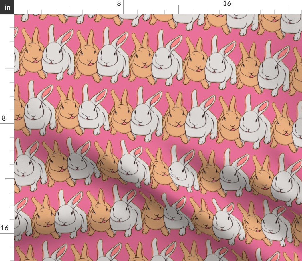 Bunny Rabbits on Pink