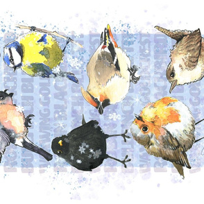 Watercolour Winter Birds