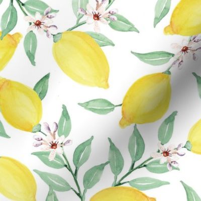 Lemons on White