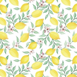 Lemons on White