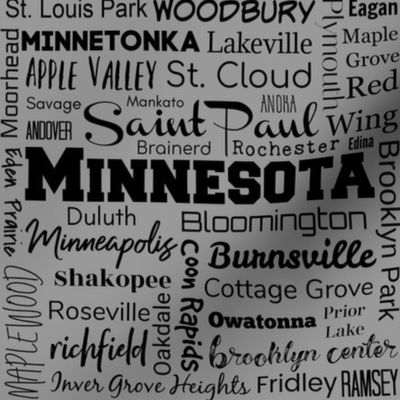 Minnesota cities, gray