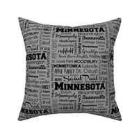 Minnesota cities, gray
