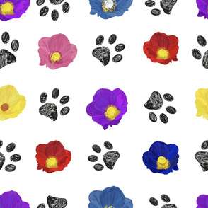 Primulaceae colorful flowers and hand drawn paw print pattern